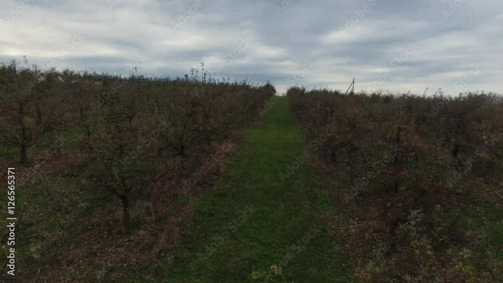 Aerial video of autumn garden fields Aerial video of autumn garden fields