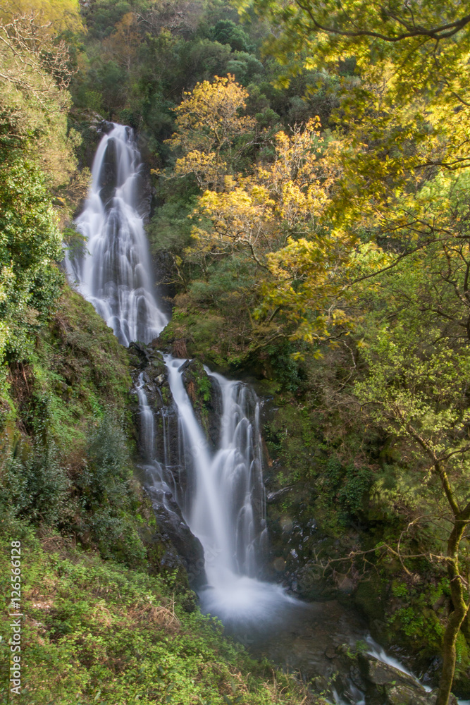 Fototapeta premium Natural waterfall in the mountains
