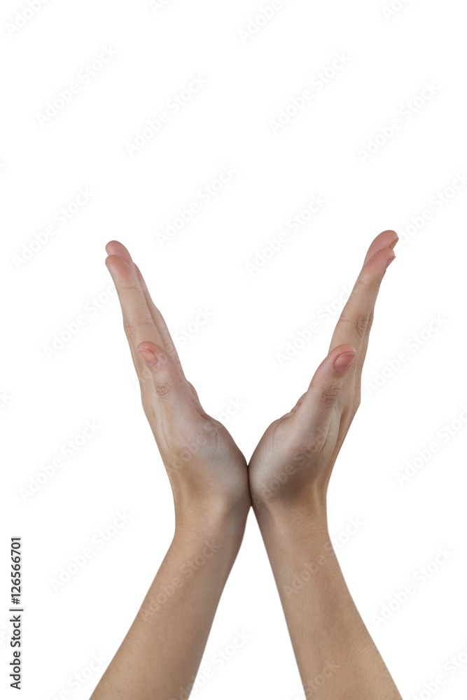 Hands gesturing against white background