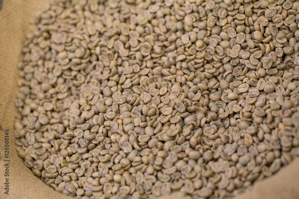 Obraz premium Raw coffee bean showing texture put in urban local sack
