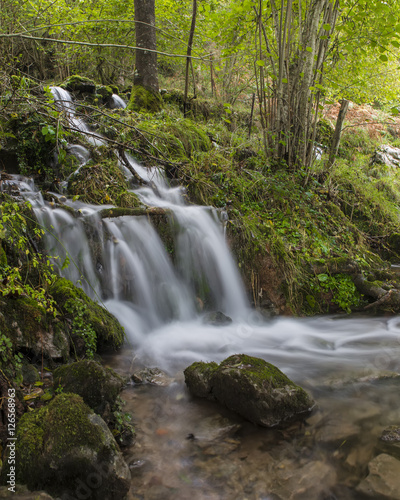 Small forest waterfall with the long exposure milky water effect. Copyspace