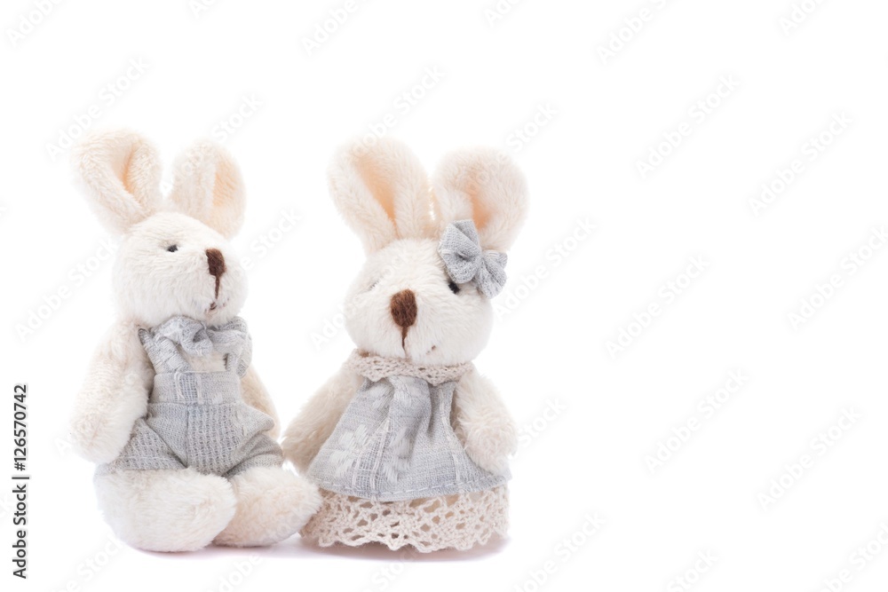 couple of easter bunny rabbit on white background. couple of easter bunny rabbit on white background.