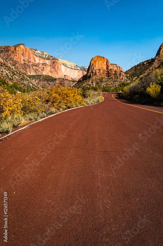 Road through Zion National Park photo