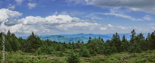 Fotografie Roan Mountain Overlook