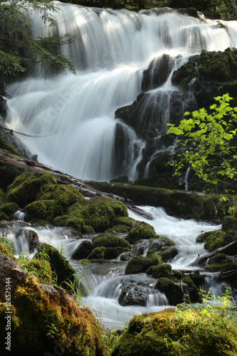 Fototapeta Naklejka Na Ścianę i Meble -  Pearsony Falls, Oregon