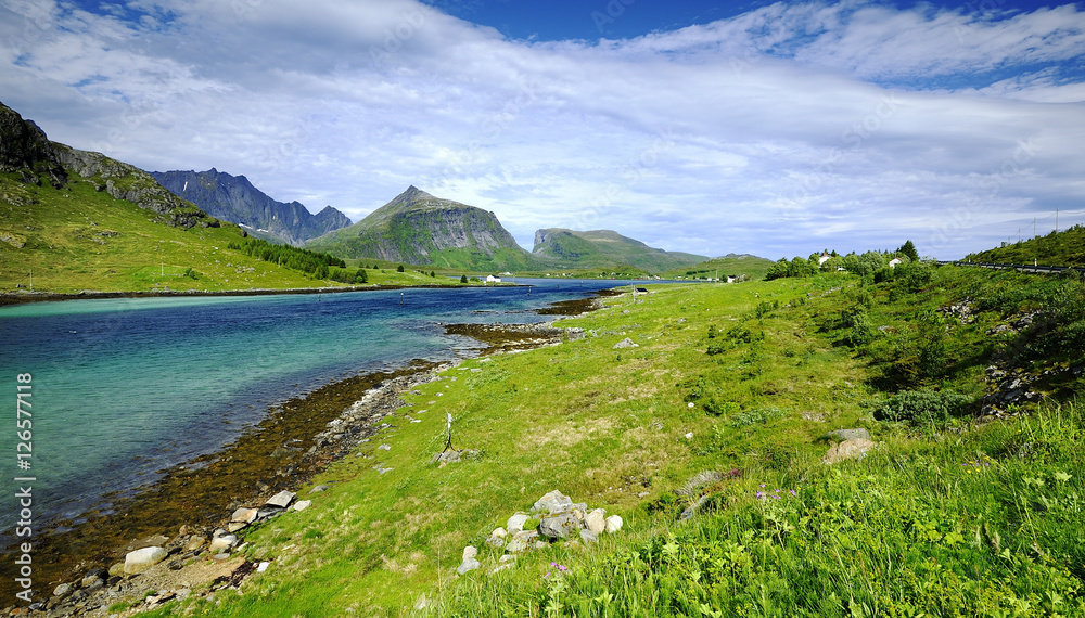 Fototapeta premium The fjords and mountains