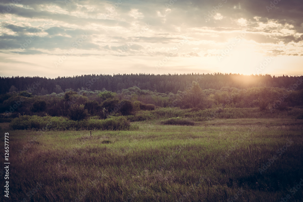 Vintage toned sunrise at summer field in countryside