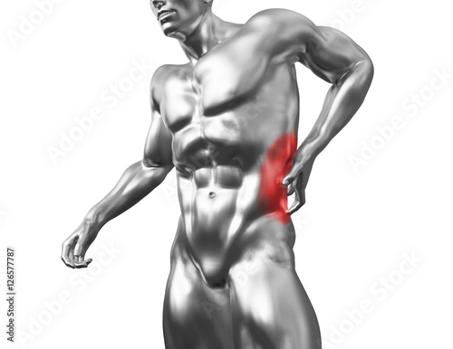 Male torso, pain in the back isolated on white background. 3d rendered medical illustration