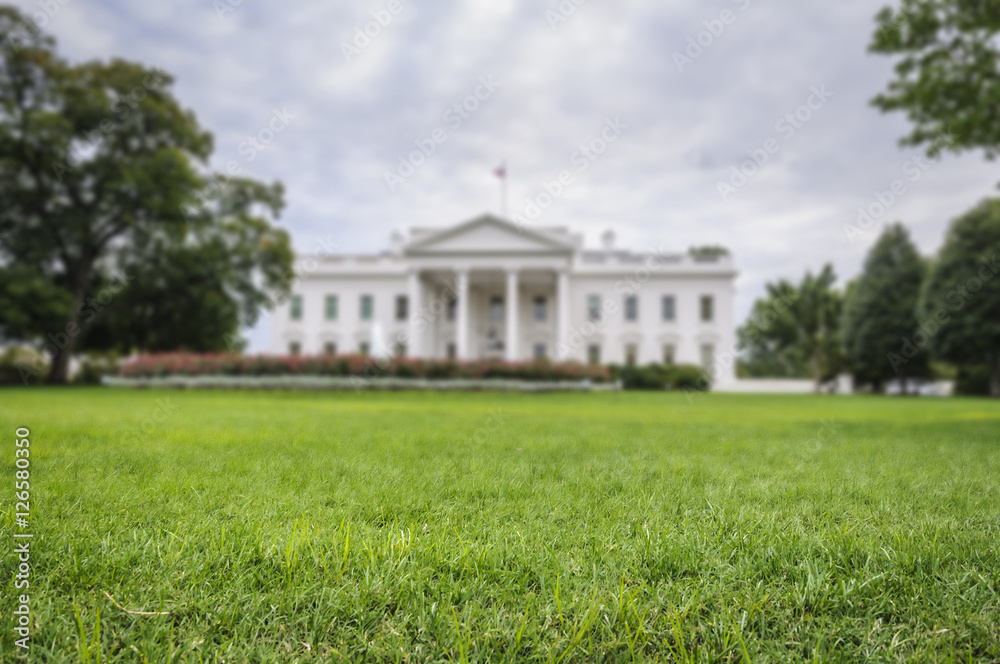 green lawn with the blurred White House in background, Washington D.C., USA