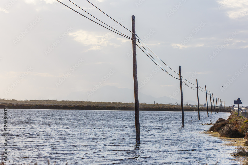 Wooden poles of power lines are in the water in the lake.