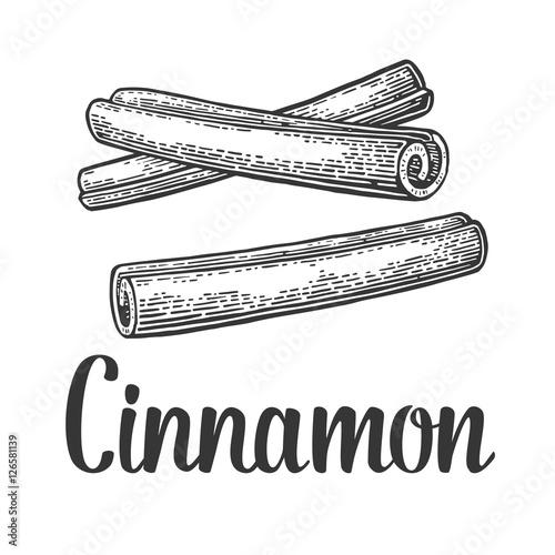 Cinnamon stick. Vector black vintage engraved