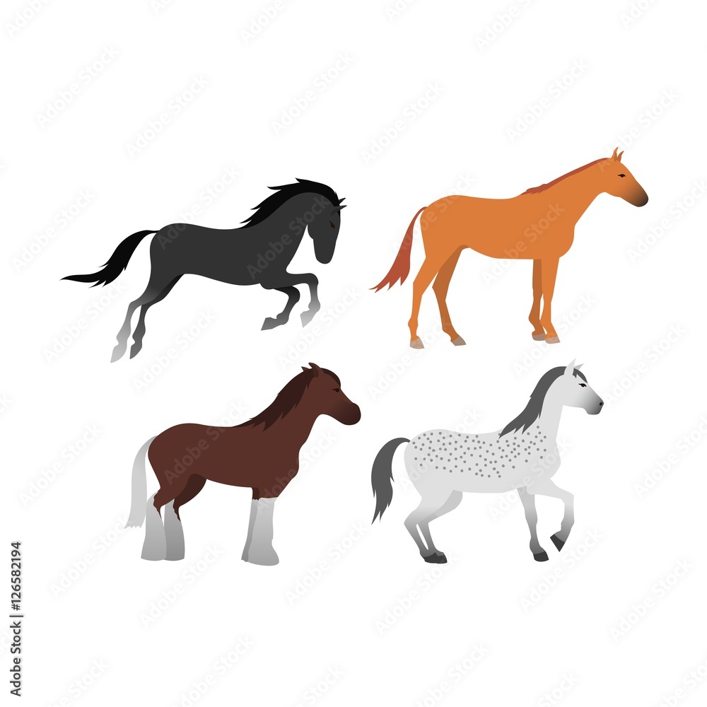 Horse vector isolated animal.