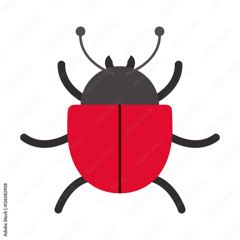 lady bug virus icon over white background.cyber security design. vector illustration lady bug virus icon over white background.cyber security design. vector illustration