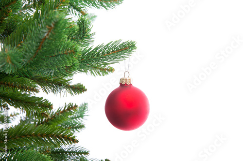 Isolated Christmas tree on white
