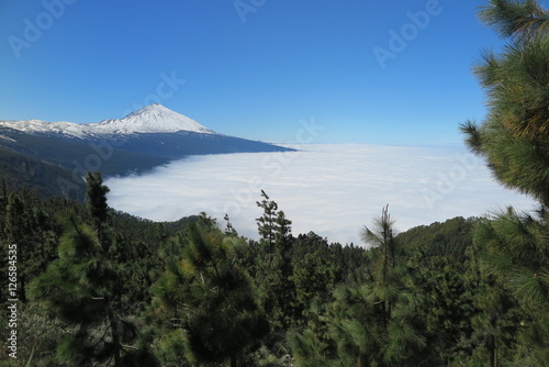 Teneriffa - Blick auf den Teide Vulkan