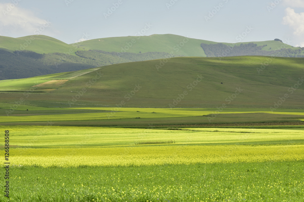 Castelluccio2