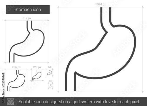 Stomach line icon.