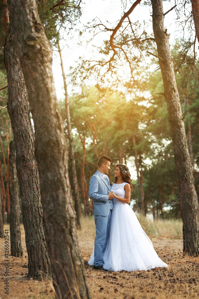 Beautiful wedding couple in coniferous forest Beautiful wedding couple in coniferous forest