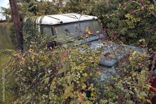 An old abandoned car in vegetation