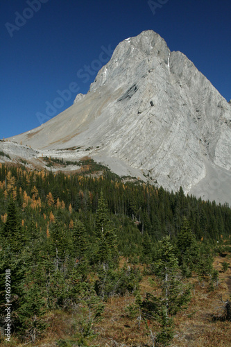 Mt Birdwood, showing deformation photo