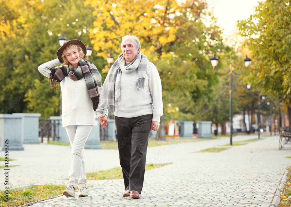 Fototapeta premium Lovely mature couple in autumn park