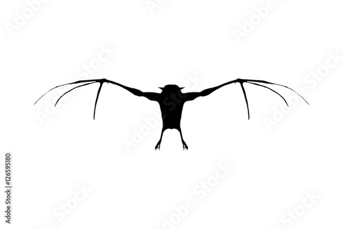 Bat not wings isolated on white background photo