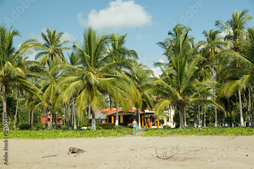 Jungle Beach House