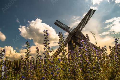 windmill in summer with flowers infront