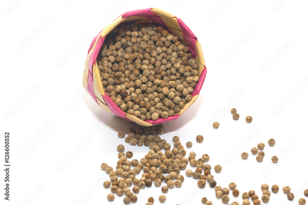 pepper isolate on white background
pepper isolate on white background