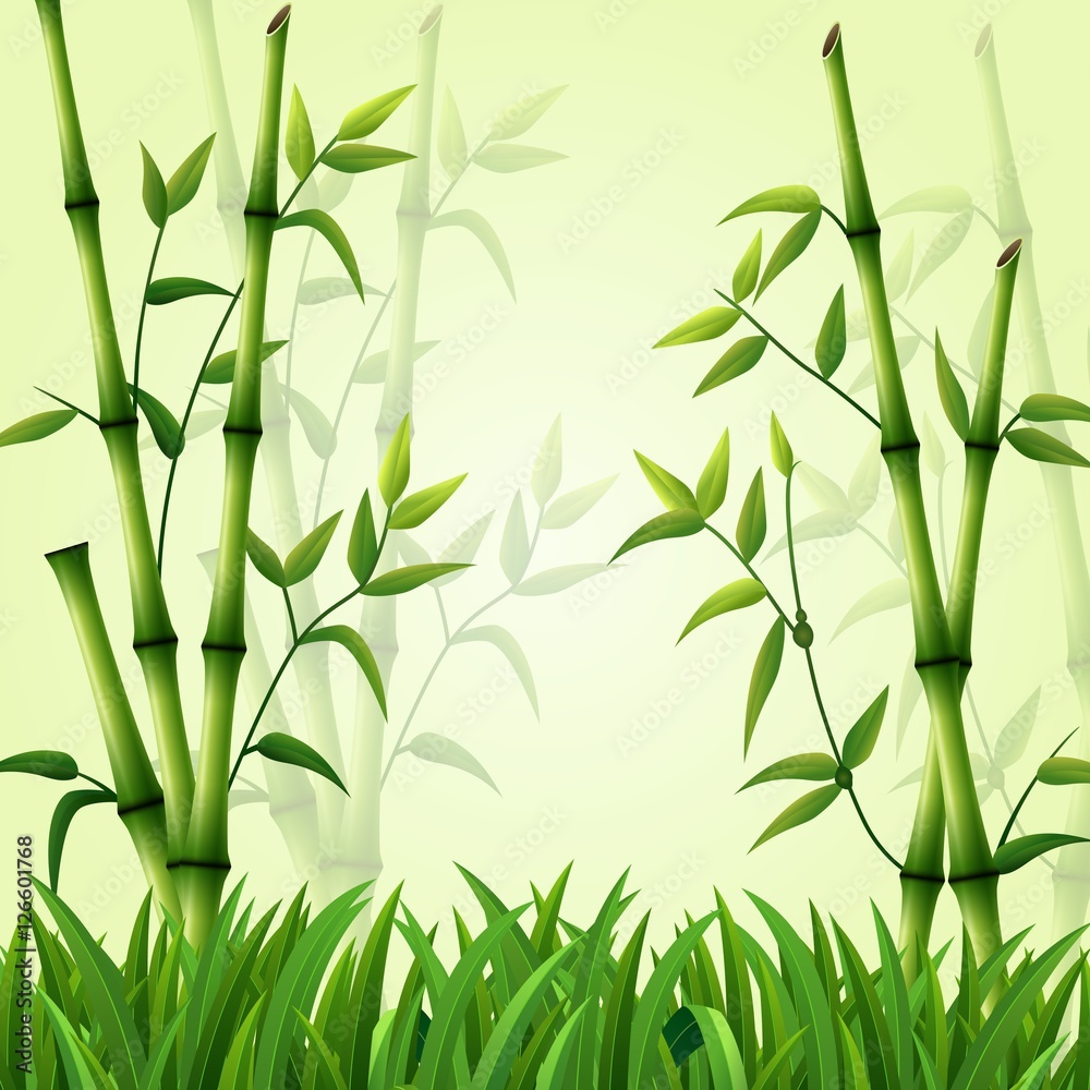 Naklejka premium Bamboo background with grass