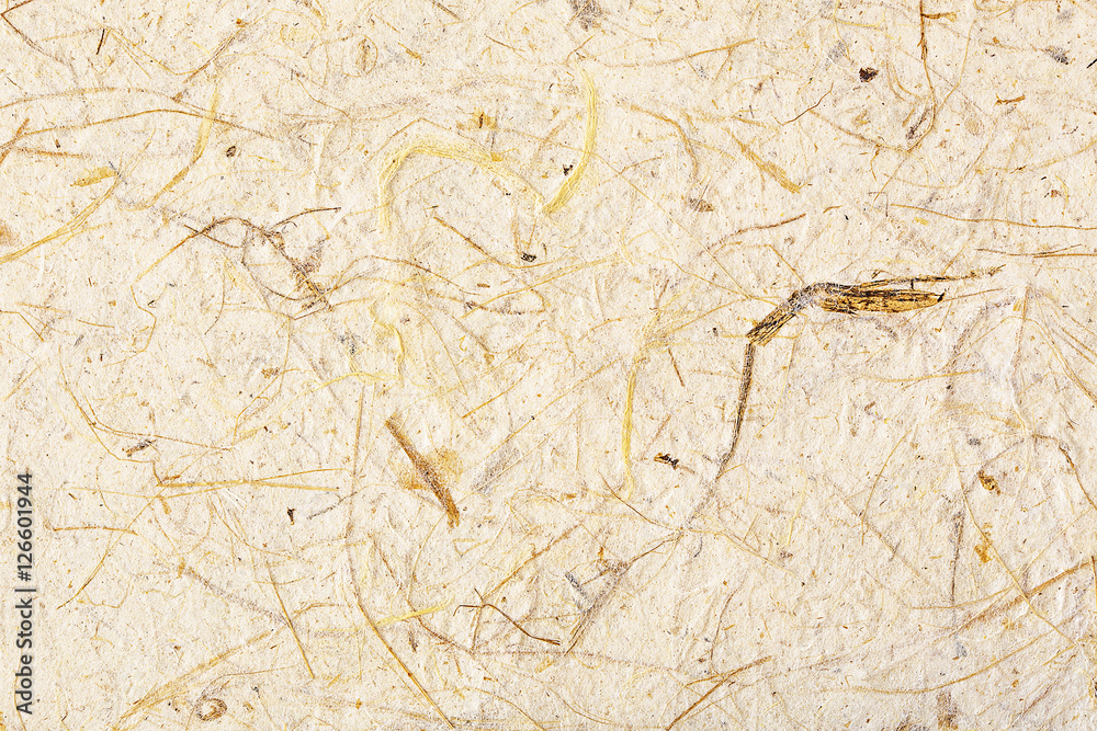closeup mulberry paper for background