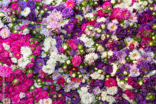 Colorful flowers background for sale at the wholesale flower mar