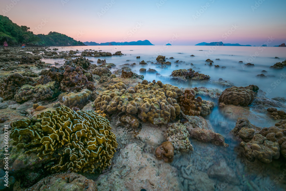 coral rock around beach during ebb tide and sunset time wide sho