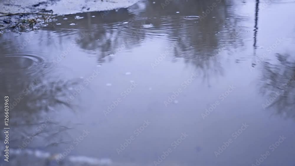raindrops in a puddle of water splash autumn nature overcast blue gloomily raindrops in a puddle of water splash autumn nature overcast blue gloomily