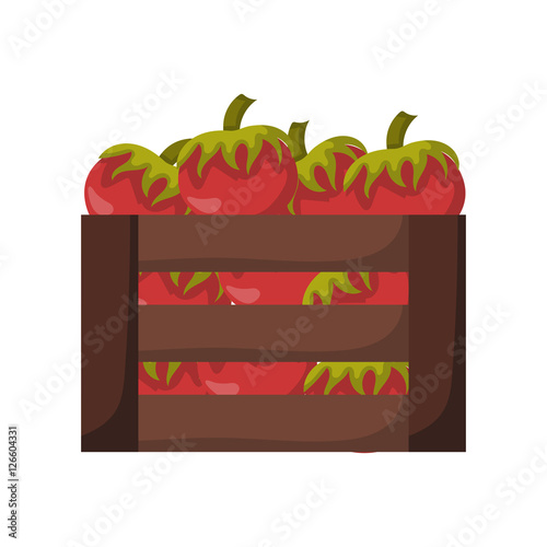 Vector cartoon isolated red tomatos box