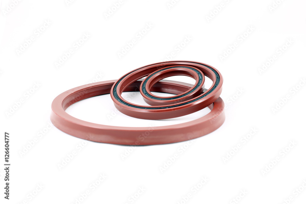 Naklejka premium Rod seal