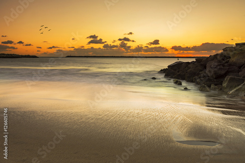 sunset at beach with birds flying