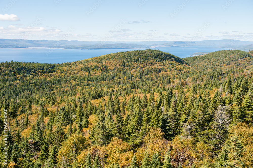 View from Mont-St-Alban viewpoint in Forillon National Park, Gaspe Peninsula