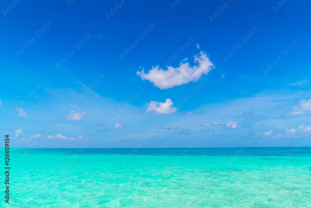 Obraz premium Beautiful tropical Maldives island with white sandy beach and se