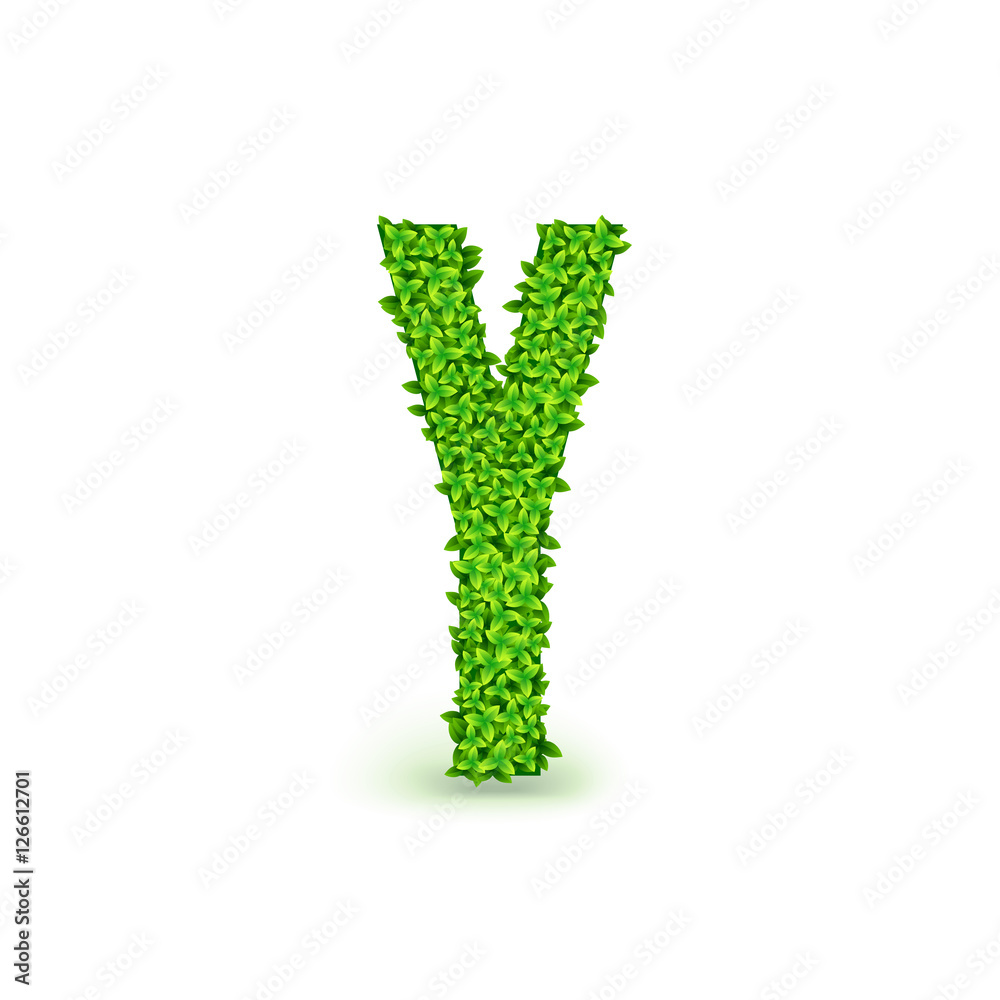 Green Leaves font Y. Green Leaves font Y.