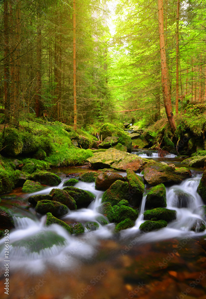 Mountain stream in the National park Sumava-Czech Republic Mountain stream in the National park Sumava-Czech Republic
