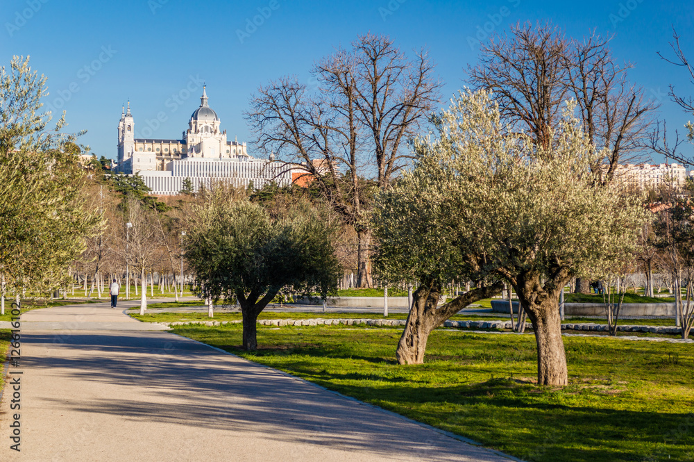 Madrid skyline cityscape, Almudena Cathedral and Royal Palace of Madrid view from Casa de Campo in Madrid, Spain
