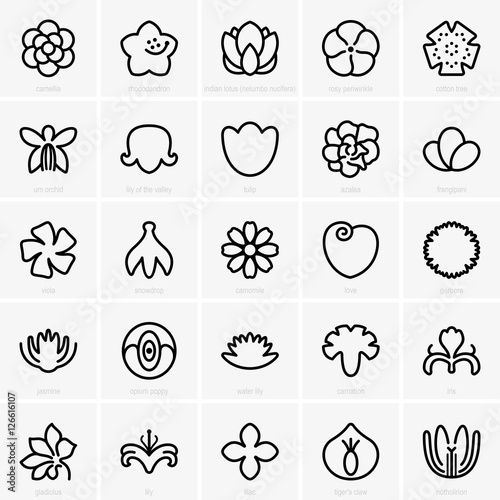 Flower icons photo