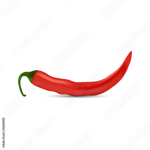 Realistic Hot Red pepper vector illustration on white background