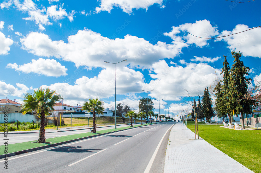 Empty road with palm trees and blue sky with clouds in Portugal