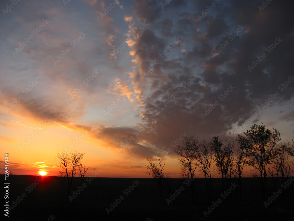 Fototapeta premium magical sunrise with tree