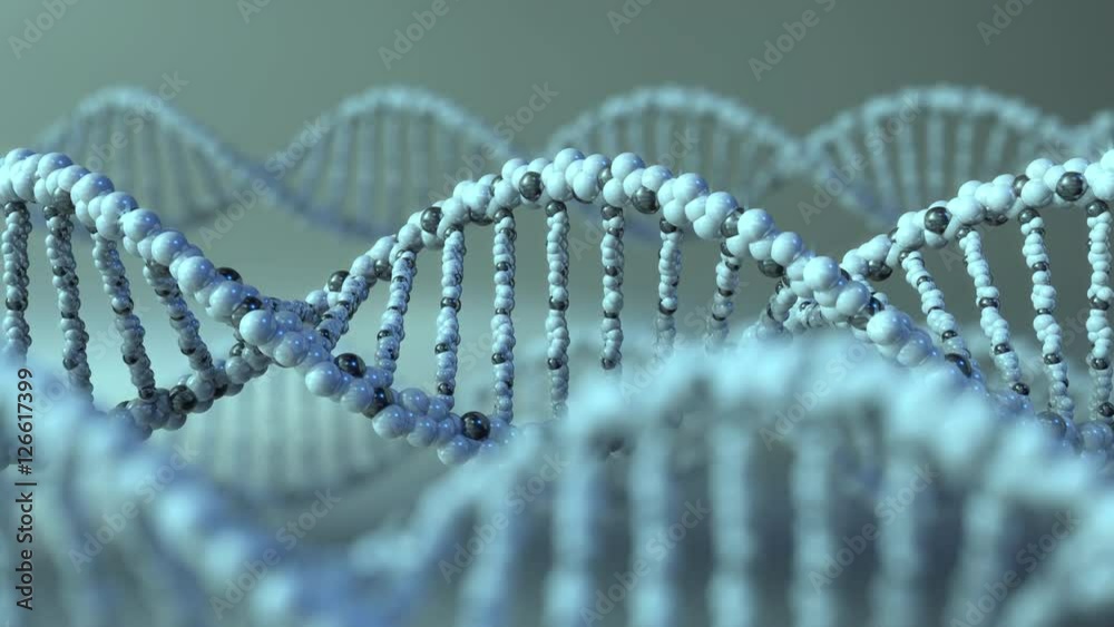 Spinning DNA molecules. Gene, genetic research or modern medicine concepts. 4K seamless loop animation