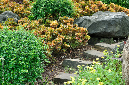 Stone stairs in garden with beautiful plants