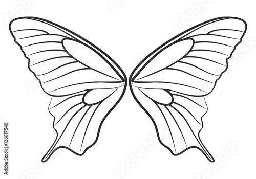 Набросок крыльев  бабочки © larisska_c