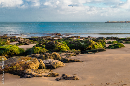 Atlantic ocean coast beach with big stones covered in moss near Cascais, Portugal